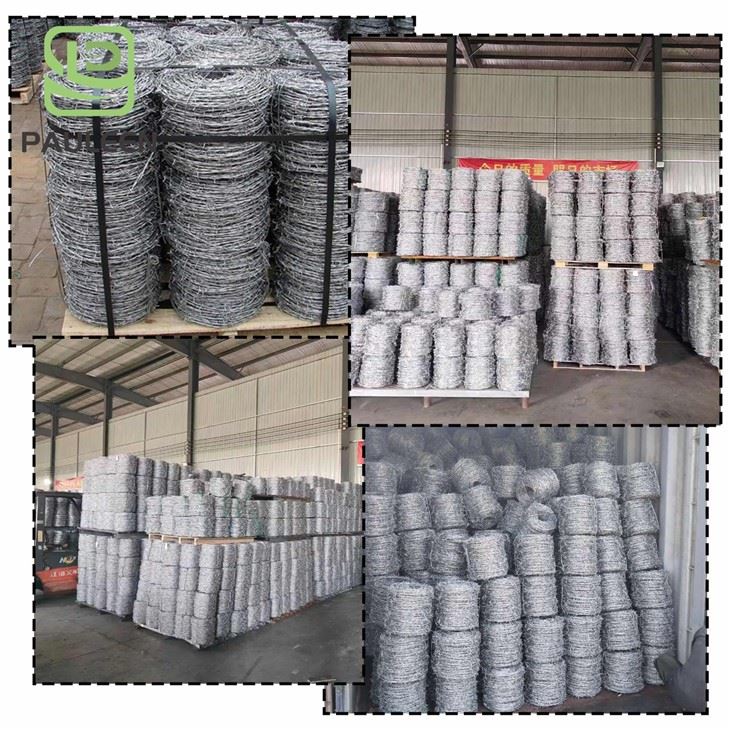Barbed Wire Roll