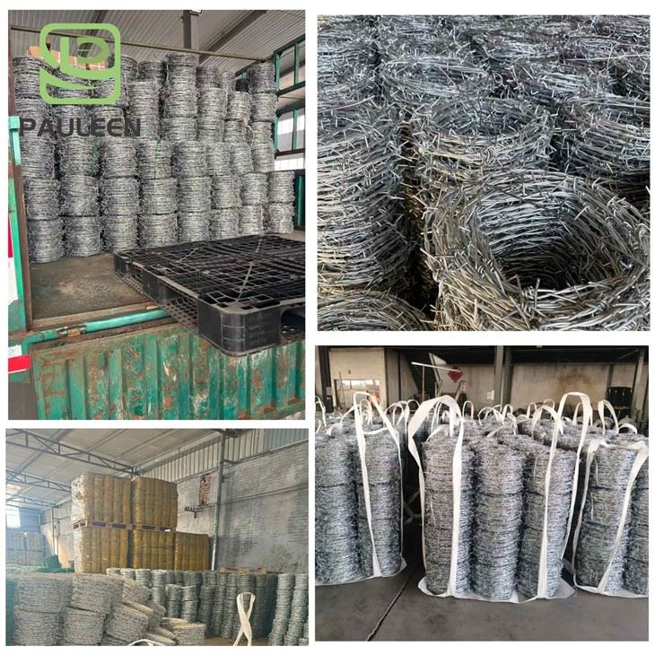 Barbed Wire Roll