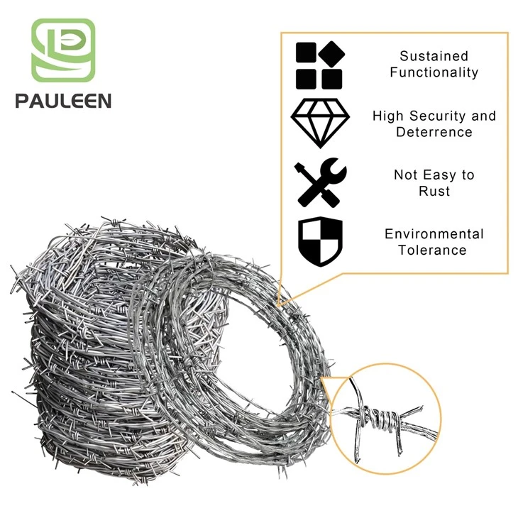 Barbed Wire Roll